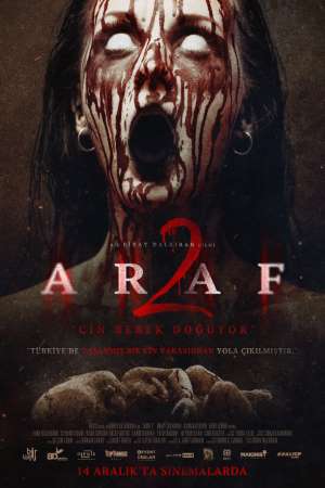 Araf 2 (2018) Dual Audio {Hindi-Turkish} Movie 480p | 720p WEB-DL 280MB | 750MB