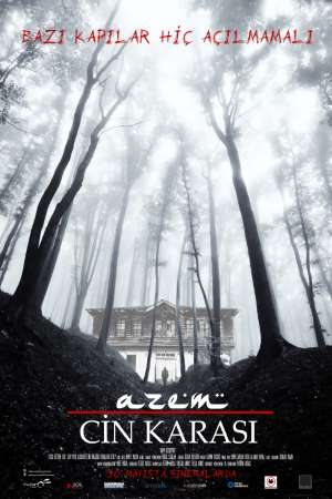 Azem: Cin Karasi (2014) Dual Audio {Hindi-Turkish} Movie 480p | 720p HDRip 280MB | 550MB