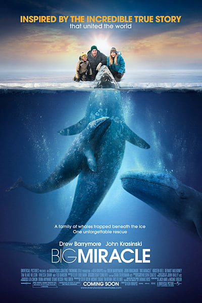 Big Miracle (2012) Dual Audio {Hindi-English} Movie 480p | 720p | 1080p BluRay ESub