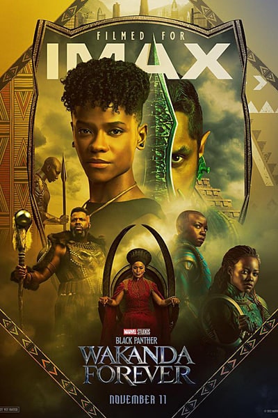 Black Panther: Wakanda Forever (2022) Dual Audio {Hindi-English} Movie 480p | 720p | 1080p | 2160p IMAX WEB-DL ESub
