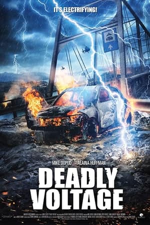 Deadly Voltage (2015) UNCUT Dual Audio {Hindi-English} Movie 480p | 720p BluRay 300MB | 700MB