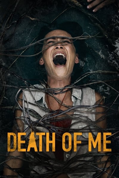 Death of Me (2020) Dual Audio [Hindi-English] Movie 480p | 720p | 1080p WEB-DL ESub