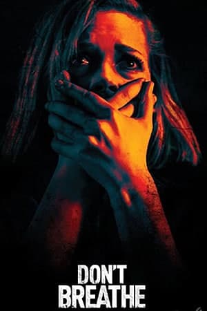 Dont Breathe (2016) Dual Audio {Hindi-English} Movie 480p | 720p | 1080p BluRay 300MB | 800MB