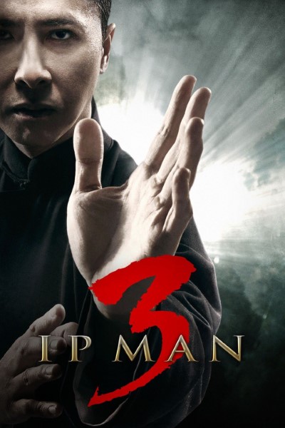 Ip Man 3 (2015) Dual Audio [Hindi-Chinese] Movie 480p | 720p | 1080p BluRay ESub
