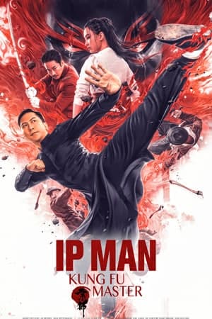Ip Man: Kung Fu Master (2019) Dual Audio {Hindi-Chinese} Movie 480p | 720p | 1080p BluRay ESub
