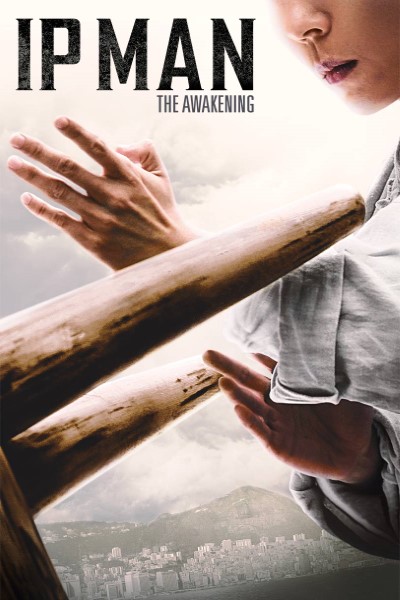 Ip Man: The Awakening (2021) Dual Audio {Hindi-English} Movie 480p | 720p | 1080p Bluray ESubs
