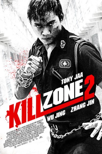 Kill Zone 2 (2015) Dual Audio {Hindi-Chinese} Movie 480p | 720p BluRay ESubs