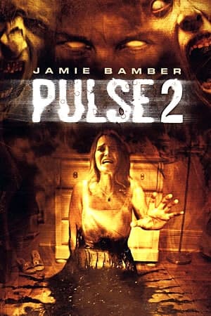 Pulse 2: Afterlife (2008) Dual Audio {Hindi-English} Movie 480p | 720p | 1080p WEB-DL 300MB | 900MB