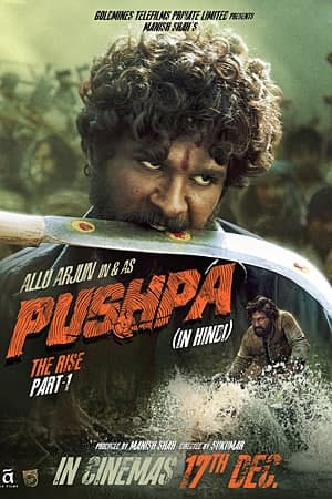 Pushpa: The Rise (2021) Dual Audio {Hindi-Telugu} Movie 480p | 720p | 1080p AMZN WEB-HDRip ESub