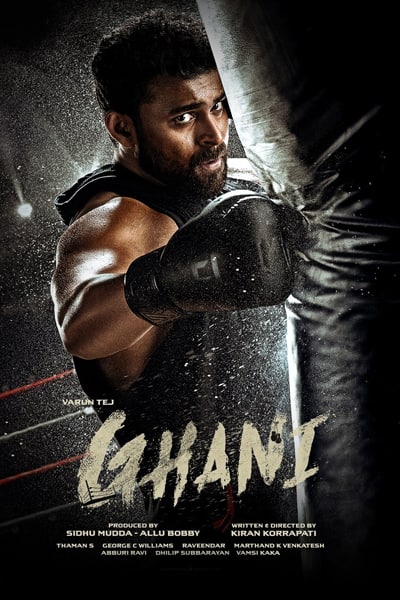 Ghani (2022) UNCUT Dual Audio {Hindi (HQ)-Telugu} Movie 480p | 720p | 1080p HDRip