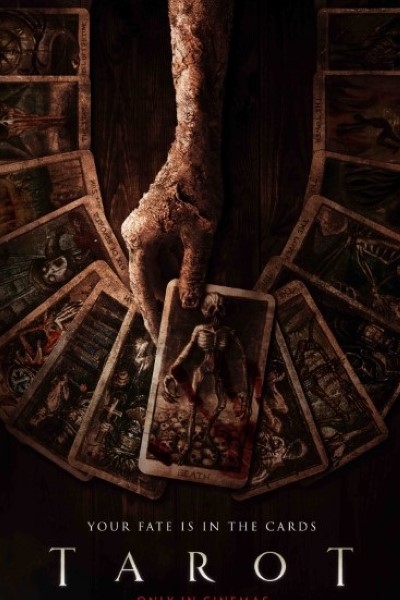 Tarot (2024) Dual Audio {Hindi-English} Movie 480p | 720p | 1080p WEB-DL MSubs