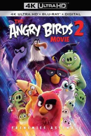 The Angry Birds Movie 2 (2019) Dual Audio {Hindi-English} Movie 480p | 720p BluRay 350MB | 900MB