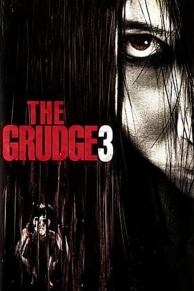 The Grudge 3 (2009) Dual Audio [Hindi-English] Movie 480p | 720p | 1080p BluRay ESub