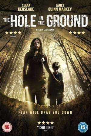 The Hole in the Ground (2019) Dual Audio {Hindi-English} Movie 480p | 720p | 1080p WEB-DL 300MB | 800MB