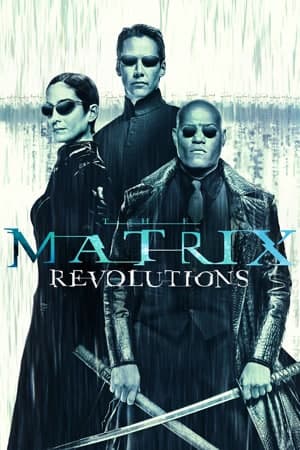 The Matrix Revolutions (2003) Dual Audio {Hindi-English} Movie 480p | 720p | 1080p BluRay ESub
