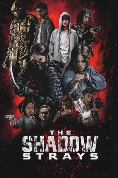 The Shadow Strays (2024) Multi Audio [Hindi-English-Indonesian] Movie 480p | 720p | 1080p WEB-DL MSubs