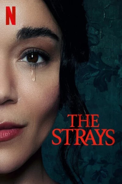 The Strays (2023) Dual Audio {Hindi-English} Movie 480p | 720p | 1080p WEB-DL ESubs