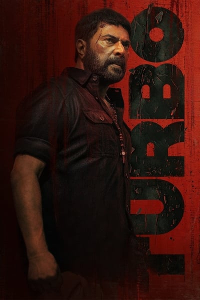 Turbo (2024) Dual Audio {Hindi-Malayalam} Movie 480p | 720p | 1080p WEB-DL ESub