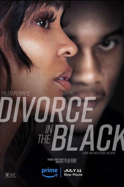 Tyler Perry�s Divorce in the Black (2024) Dual Audio {Hindi-English} Movie 480p | 720p | 1080p WEB-DL ESub
