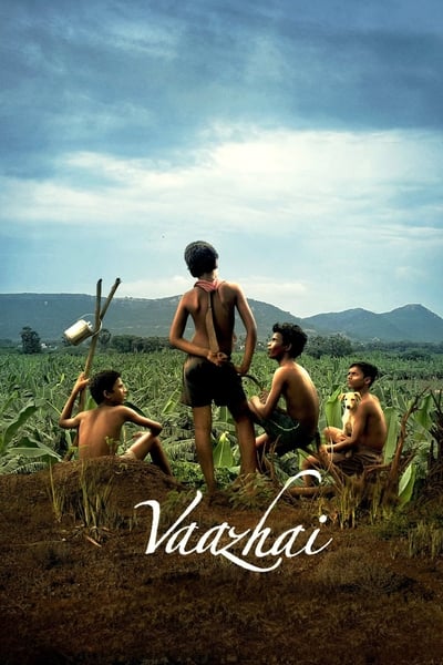 Vaazhai (2024) Dual Audio {Hindi-Tamil} Movie 480p | 720p | 1080p WEB-DL ESub