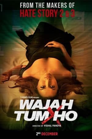 Wajah Tum Ho (2016) Hindi Movie 480p | 720p | 1080p WEB-DL ESub